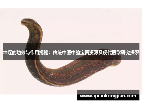 水蛭的功效与作用揭秘：传统中医中的宝贵资源及现代医学研究探索