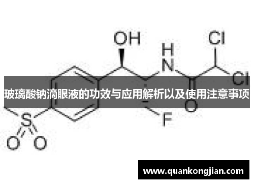 玻璃酸钠滴眼液的功效与应用解析以及使用注意事项