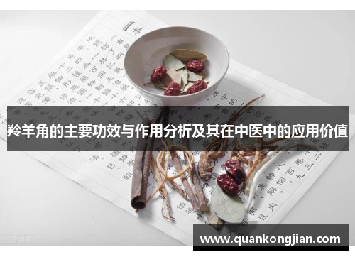 羚羊角的主要功效与作用分析及其在中医中的应用价值